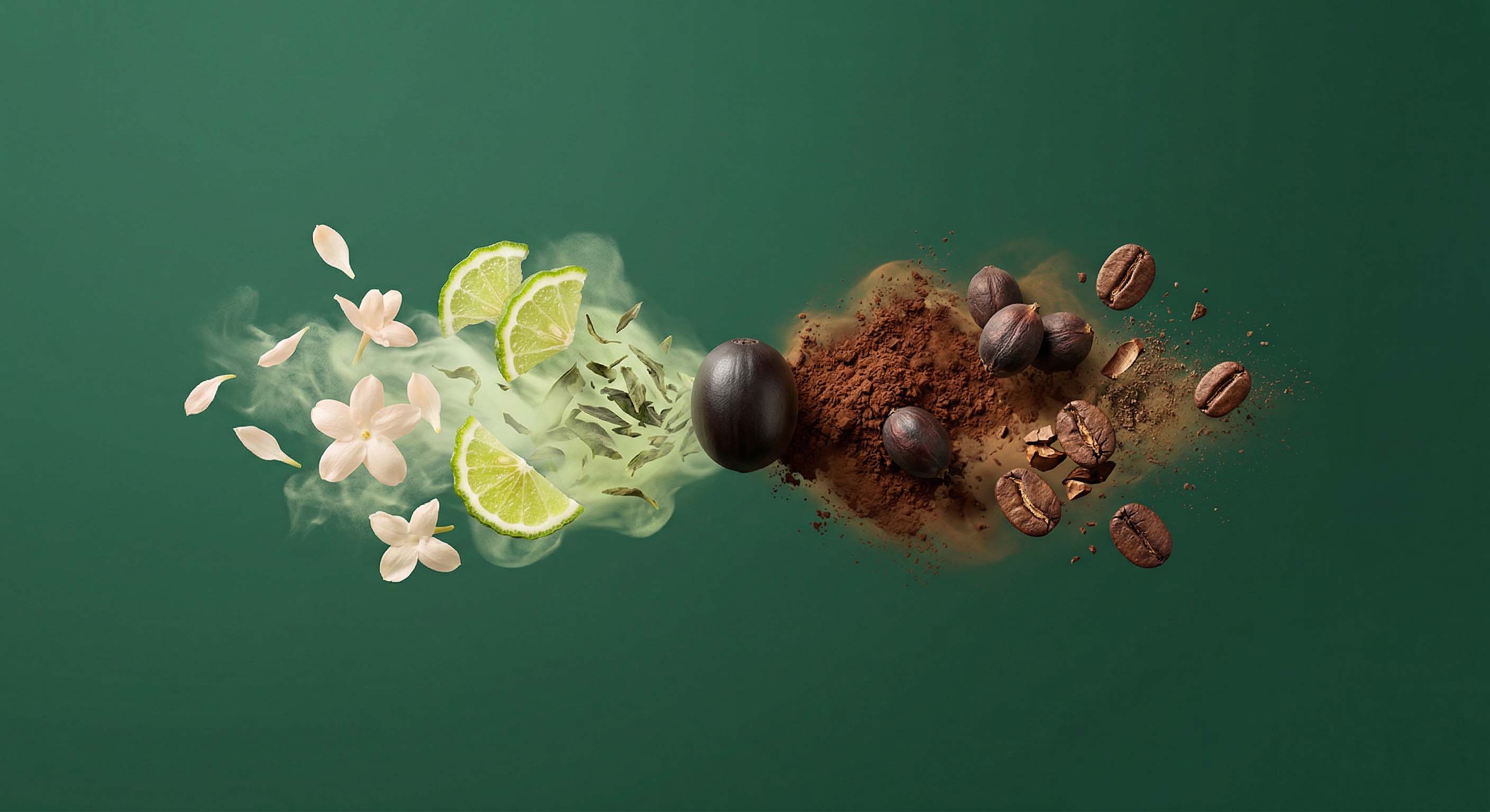 Etiyopya Kahvesi: Yirgacheffe'den Sidamo'ya Tatların Vatanı