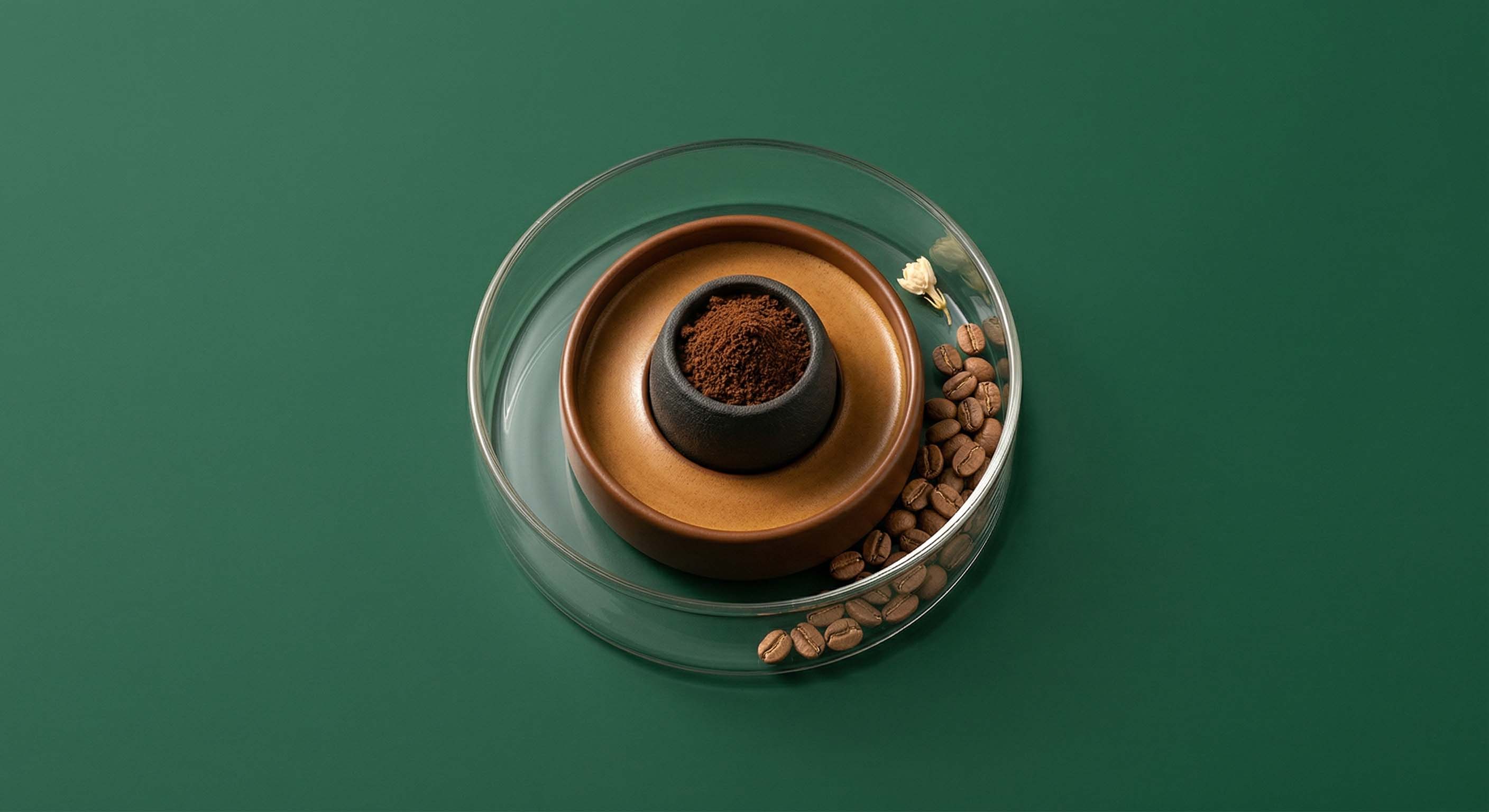 Türk Kahvesi Seven İçin Specialty Giriş Rehberi