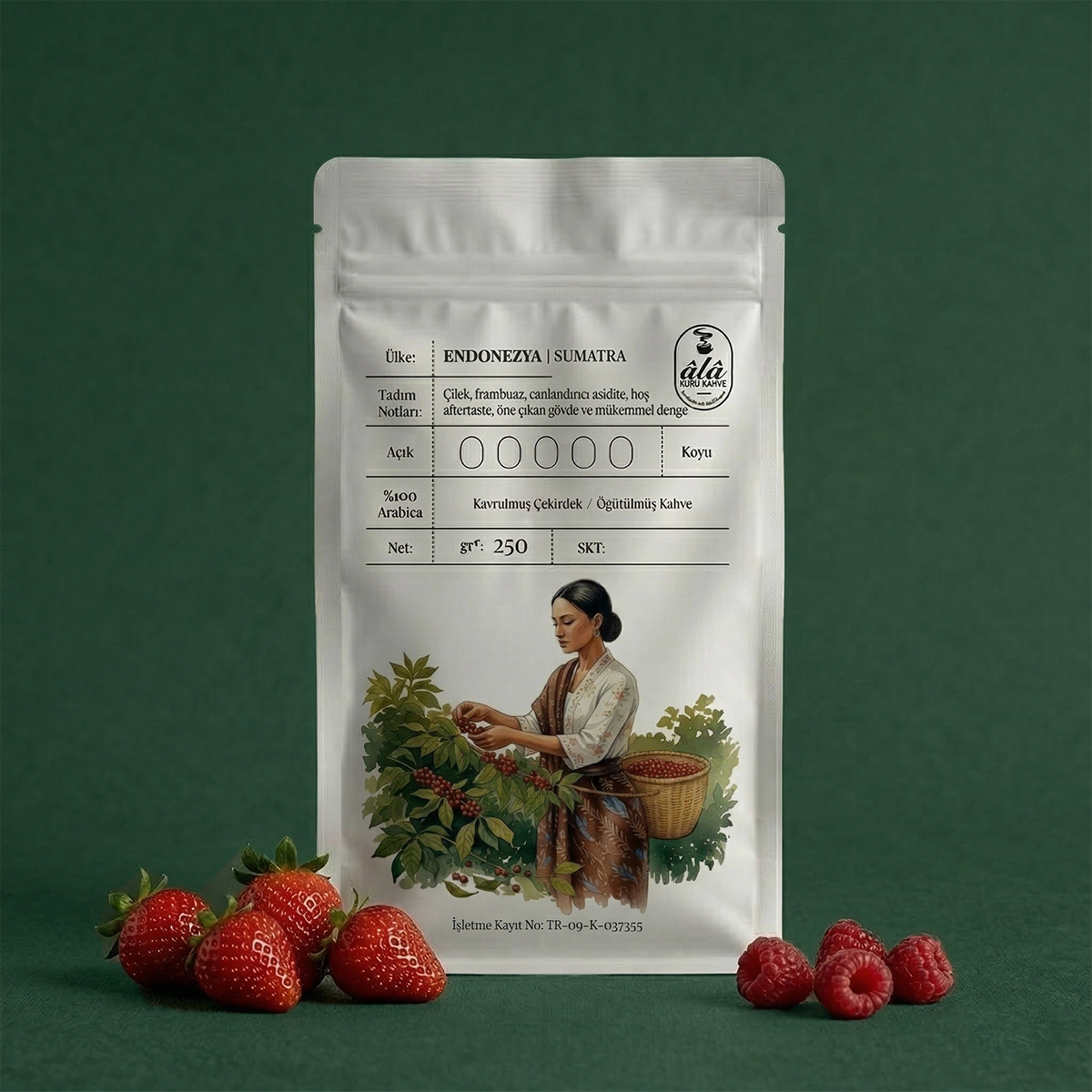 Endonezya | Sumatra (Batak Highlands) | Wet-hulled