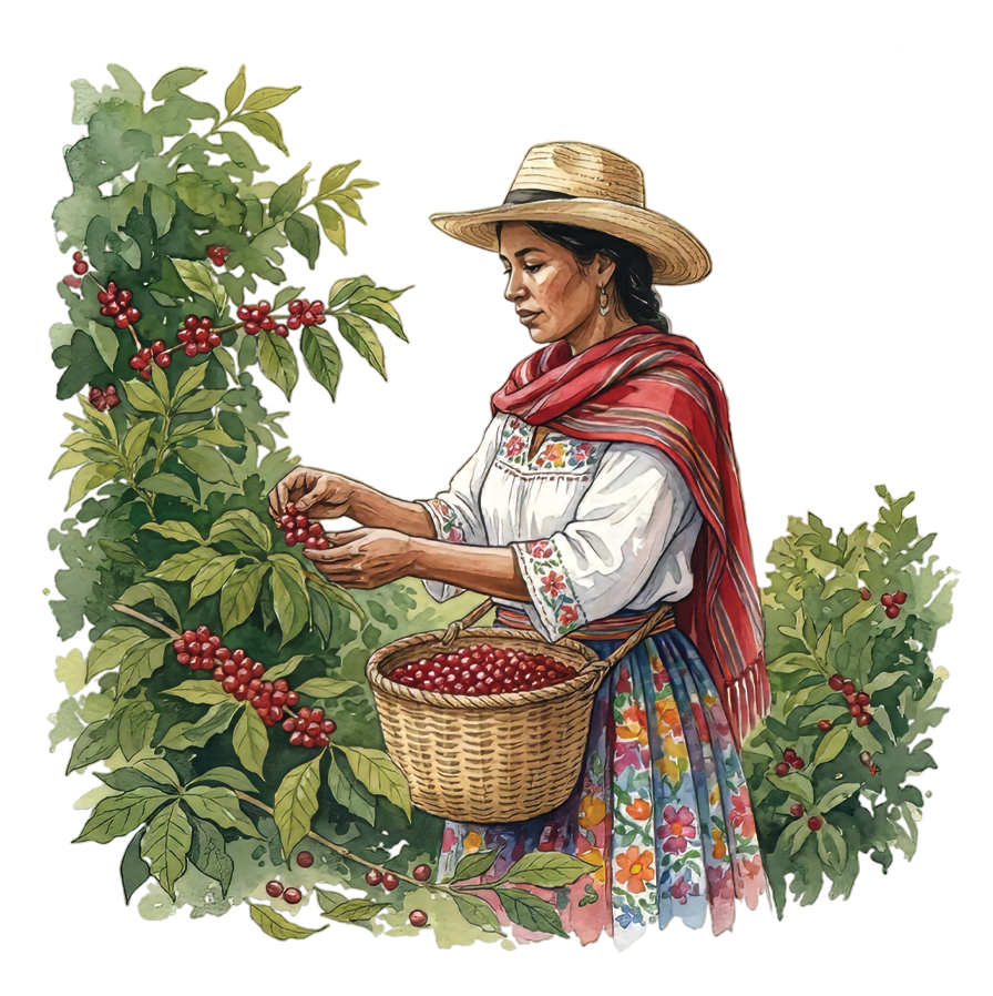 Kolombiya kahve üreticisi